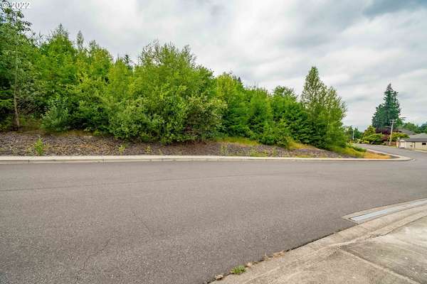 317 NE Bassel Rd #lot 3, Vancouver, WA 98685