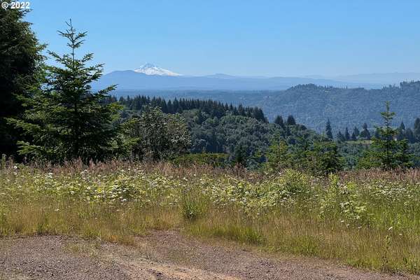  Runyan Rd, Woodland, WA 98674