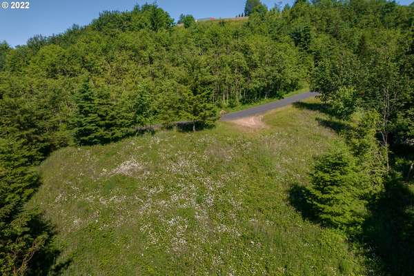  Runyan Rd, Woodland, WA 98674