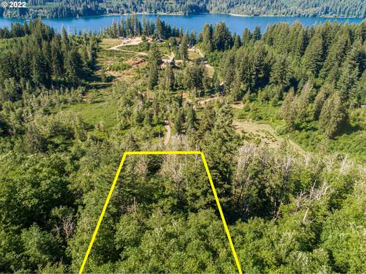  Buncombe Hollow Rd, Woodland, WA 98674