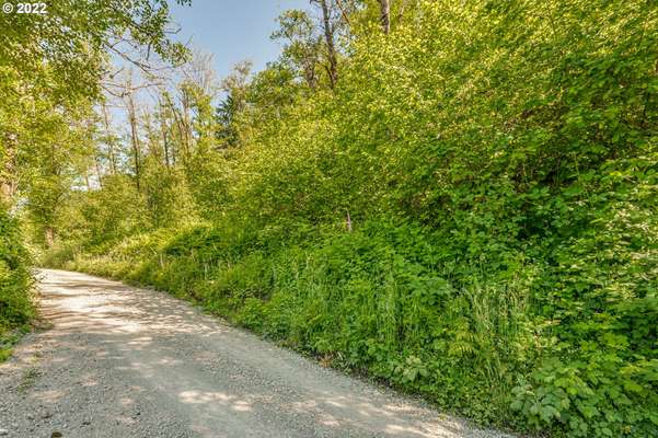  Buncombe Hollow Rd, Woodland, WA 98674