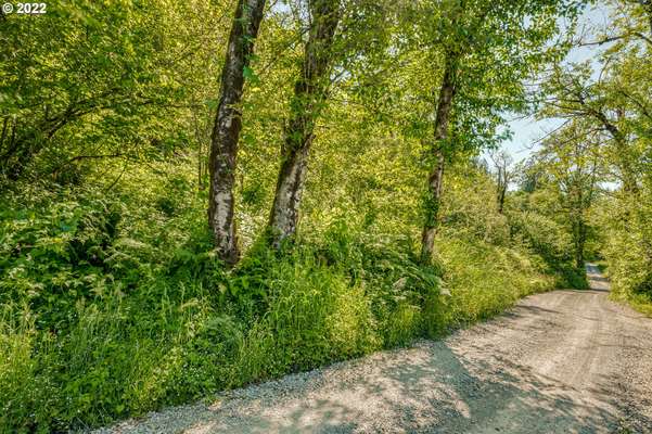  Buncombe Hollow Rd, Woodland, WA 98674