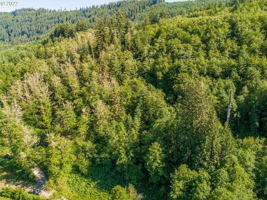  Buncombe Hollow Rd, Woodland, WA 98674