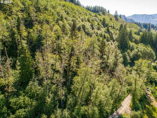  Buncombe Hollow Rd, Woodland, WA 98674