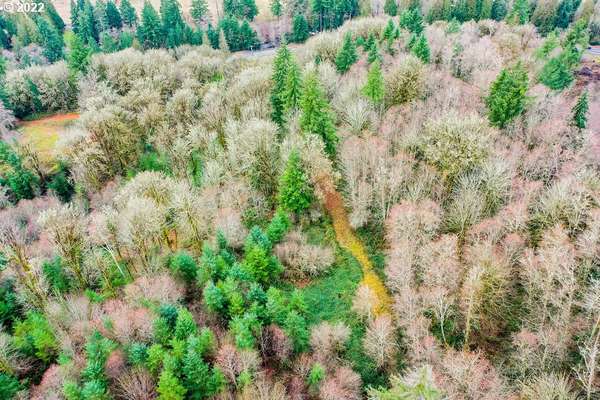  Coal Creek Rd, Longview, WA 98632