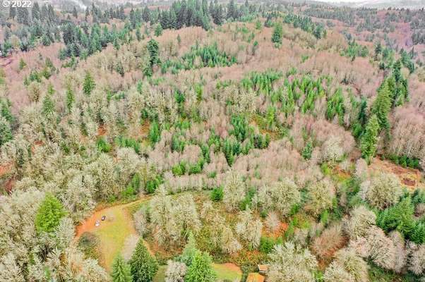  Coal Creek Rd, Longview, WA 98632