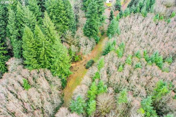  Coal Creek Rd, Longview, WA 98632