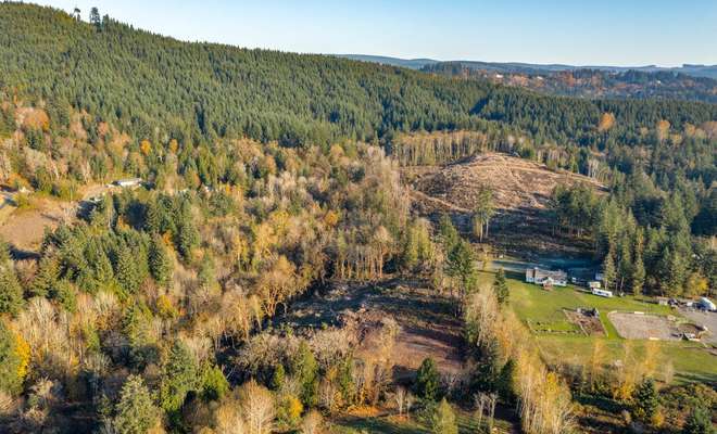 252  Alpenridge Rd, Kelso, WA 98626