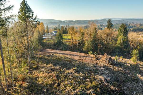 252  Alpenridge Rd, Kelso, WA 98626