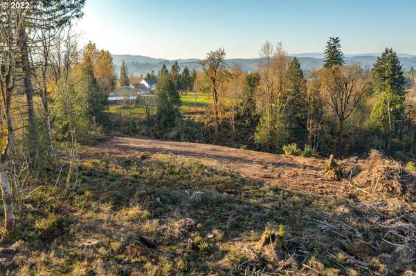 252  Alpenridge Rd, Kelso, WA 98626