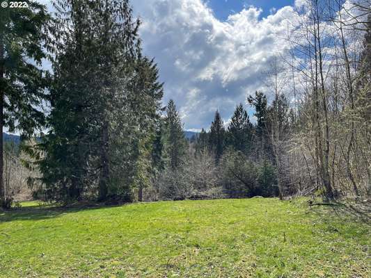 224  Piedmont Pl, Kelso, WA 98626