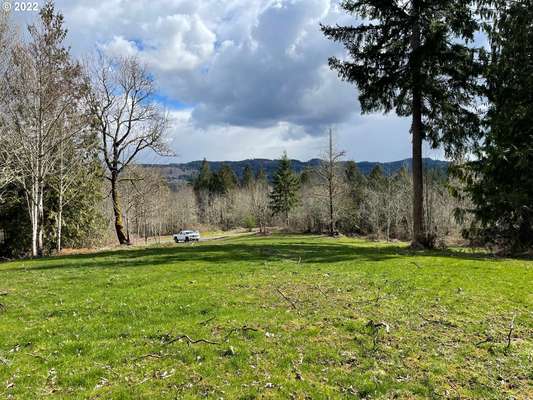 224  Piedmont Pl, Kelso, WA 98626