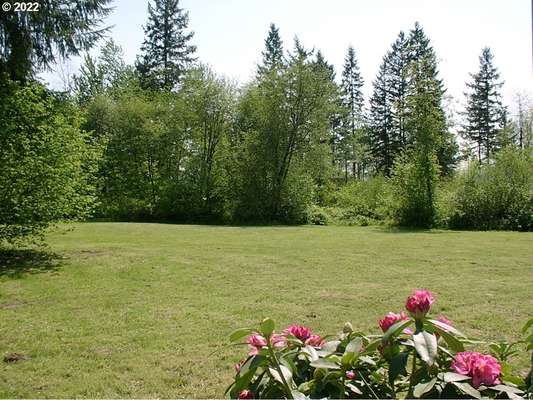 10505 NE 285th St, Battle Ground, WA 98604