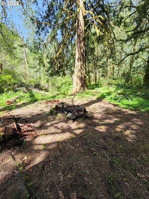  Baker Rd, Ariel, WA 98603