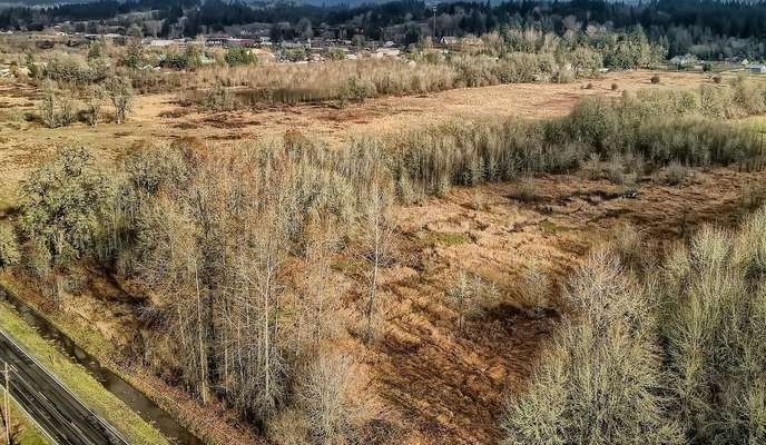 NE 172nd Ave, Brush Prairie, WA 98606