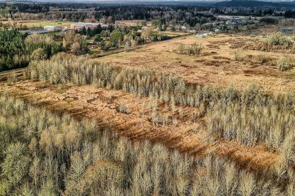 NE 172nd Ave, Brush Prairie, WA 98606