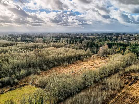 NE 172nd Ave, Brush Prairie, WA 98606