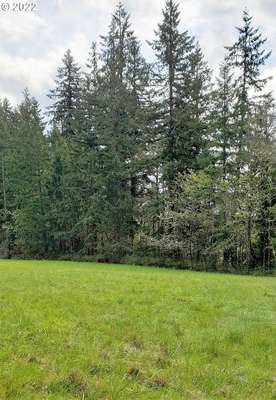 NE 279th St, Battle Ground, WA 98604