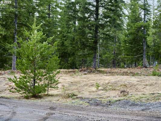 4  Loowit Ln, Cougar, WA 98616