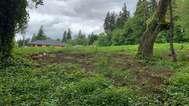 2519 SE 116th Ct, Vancouver, WA 98664