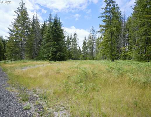 1  Lahar Ln, Cougar, WA 98616