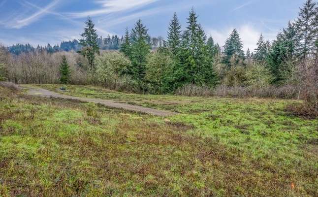 308  Daves View Dr, Kalama, WA 98625