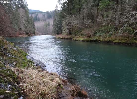 7002  Kalama River Rd, Kalama, WA 98625