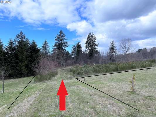 NE 408th Ct, Washougal, WA 98671