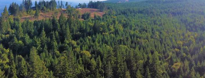  Lacock-kelchner Rd, Underwood, WA 98651