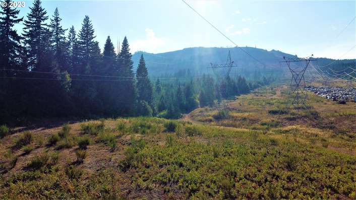  Lacock-kelchner Rd, Underwood, WA 98651