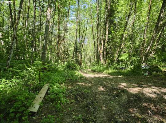 NE Cedar Creek Rd, Woodland, WA 98674