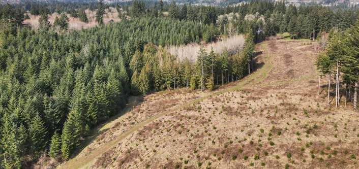 NE 259th St, Battle Ground, WA 98604