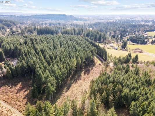 NE 259th St, Battle Ground, WA 98604