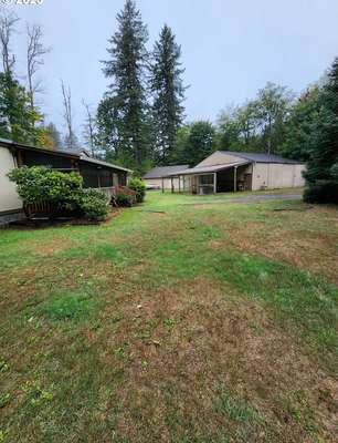 16727  Lewis River Rd, Cougar, WA 98616