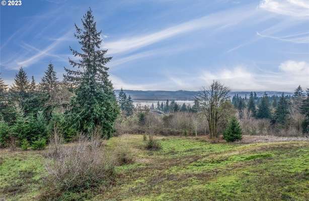 308  Daves View Dr, Kalama, WA 98625