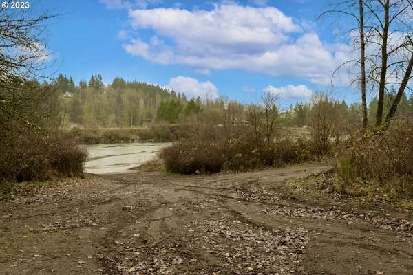 2009  Lewis River Rd, Woodland, WA 98674