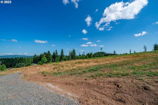 S Silver Lake Rd #2, Castle Rock, WA 98611