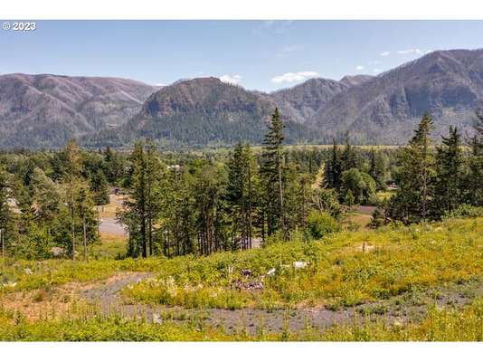  Warren Lot 3 Rd, North Bonneville, WA 98639