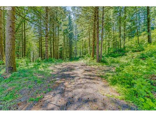  Warren Lot 3 Rd, North Bonneville, WA 98639