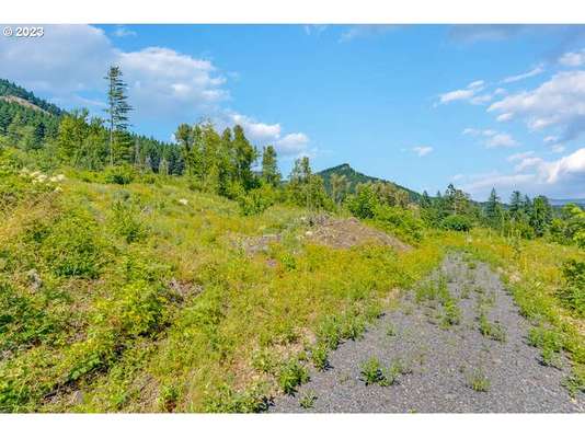  Warren Lot 3 Rd, North Bonneville, WA 98639