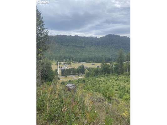 11646  Lewis River Rd, Ariel, WA 98603