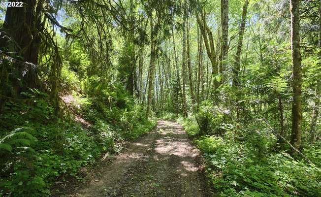  Cedar Creek , Woodland, WA 98674