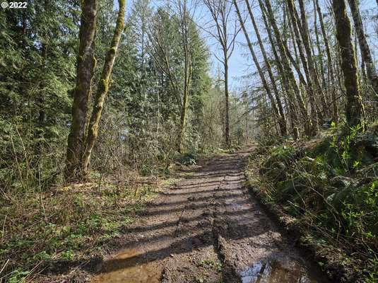  Cedar Creek , Woodland, WA 98674