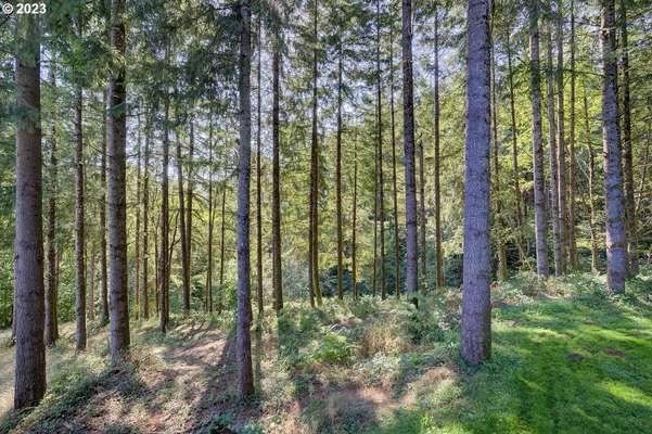 498  Bryant Hill Rd, Woodland, WA 98674