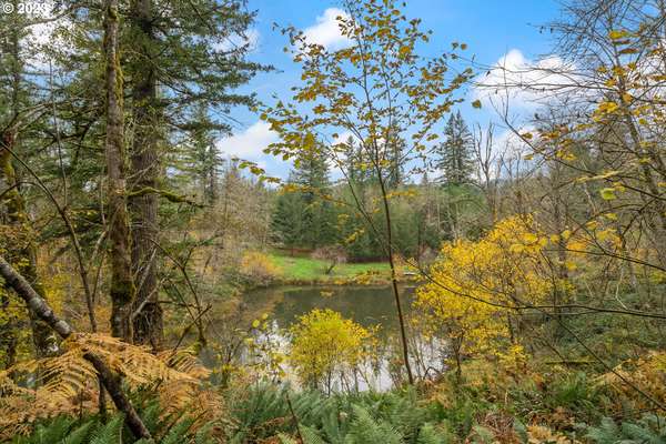 39918 SE Washougal River Rd, Washougal, WA 98671