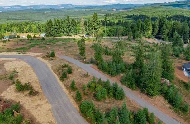 120  Red Hawk  #2, Castle Rock, WA 98611