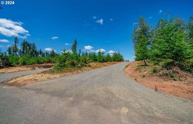 120  Red Hawk  #2, Castle Rock, WA 98611