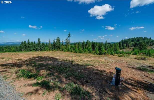 120  Red Hawk  #2, Castle Rock, WA 98611