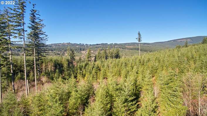 3 NE Jones Creek Rd, Camas, WA 98607