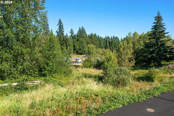 1738 S Timm Rd, Ridgefield, WA 98642